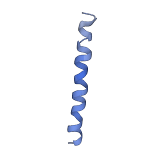 21813_6wky_o_v1-2
Cryo-EM of Form 1 related peptide filament, 29-24-3