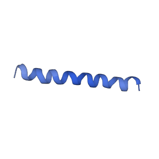 21813_6wky_p_v1-2
Cryo-EM of Form 1 related peptide filament, 29-24-3