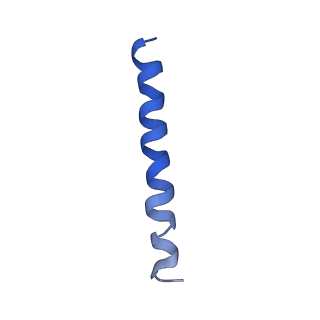 21813_6wky_q_v1-1
Cryo-EM of Form 1 related peptide filament, 29-24-3
