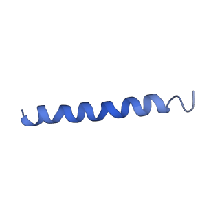 21813_6wky_r_v1-1
Cryo-EM of Form 1 related peptide filament, 29-24-3
