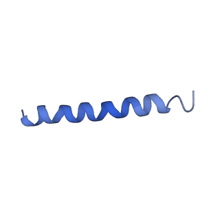 21813_6wky_r_v1-2
Cryo-EM of Form 1 related peptide filament, 29-24-3