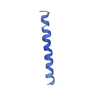 21813_6wky_s_v1-1
Cryo-EM of Form 1 related peptide filament, 29-24-3