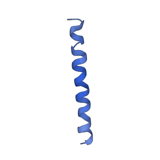 21813_6wky_s_v1-2
Cryo-EM of Form 1 related peptide filament, 29-24-3