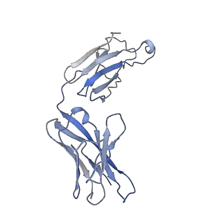 32554_7wk0_B_v1-1
Local refine of Omicron spike bitrimer with 6m6 antibody