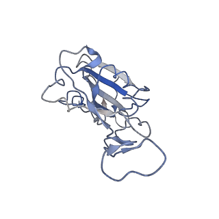 32554_7wk0_F_v1-1
Local refine of Omicron spike bitrimer with 6m6 antibody