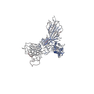 32558_7wk4_B_v2-1
Cryo-EM structure of SARS-CoV-2 Omicron spike protein with ACE2, C1 state