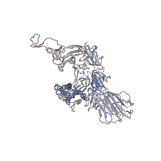 32558_7wk4_C_v1-0
Cryo-EM structure of SARS-CoV-2 Omicron spike protein with ACE2, C1 state