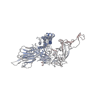 32558_7wk4_D_v1-0
Cryo-EM structure of SARS-CoV-2 Omicron spike protein with ACE2, C1 state