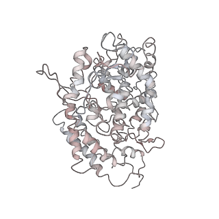 32559_7wk5_A_v2-0
Cryo-EM structure of Omicron S-ACE2, C2 state