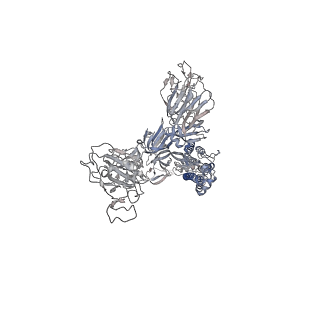 32559_7wk5_B_v1-0
Cryo-EM structure of Omicron S-ACE2, C2 state