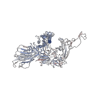 32559_7wk5_C_v1-0
Cryo-EM structure of Omicron S-ACE2, C2 state