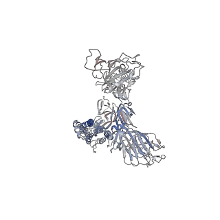 32559_7wk5_D_v1-0
Cryo-EM structure of Omicron S-ACE2, C2 state
