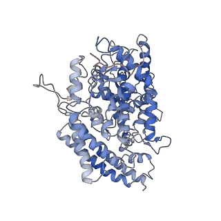 32560_7wk6_A_v1-1
Cryo-EM structure of SARS-CoV-2 Omicron spike protein with human ACE2 (focus refinement on RBD-1/ACE2)