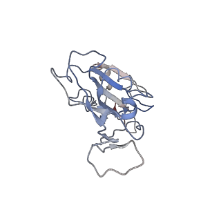 32560_7wk6_E_v1-1
Cryo-EM structure of SARS-CoV-2 Omicron spike protein with human ACE2 (focus refinement on RBD-1/ACE2)