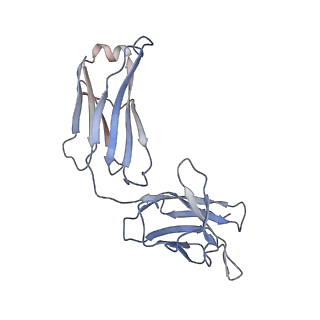 32562_7wk8_D_v1-0
SARS-CoV-2 Omicron spike protein SD1 in complex with S3H3 Fab