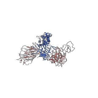 32563_7wk9_A_v1-0
SARS-CoV-2 Omicron open state spike protein in complex with S3H3 Fab