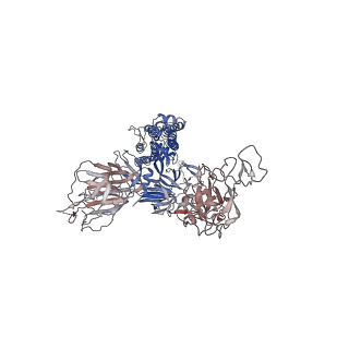 32563_7wk9_A_v2-1
SARS-CoV-2 Omicron open state spike protein in complex with S3H3 Fab