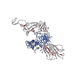 32563_7wk9_C_v2-1
SARS-CoV-2 Omicron open state spike protein in complex with S3H3 Fab