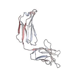 32563_7wk9_b_v2-1
SARS-CoV-2 Omicron open state spike protein in complex with S3H3 Fab