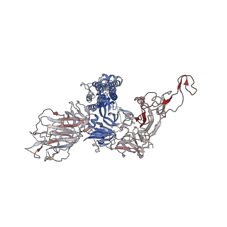 32564_7wka_A_v1-0
SARS-CoV-2 Omicron closed state spike protein in complex with S3H3 Fab