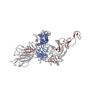 32564_7wka_A_v2-1
SARS-CoV-2 Omicron closed state spike protein in complex with S3H3 Fab