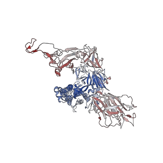 32564_7wka_C_v1-0
SARS-CoV-2 Omicron closed state spike protein in complex with S3H3 Fab