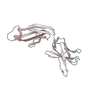 32564_7wka_a_v1-0
SARS-CoV-2 Omicron closed state spike protein in complex with S3H3 Fab