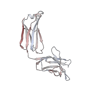 32564_7wka_b_v1-0
SARS-CoV-2 Omicron closed state spike protein in complex with S3H3 Fab