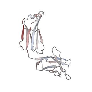 32564_7wka_b_v2-1
SARS-CoV-2 Omicron closed state spike protein in complex with S3H3 Fab