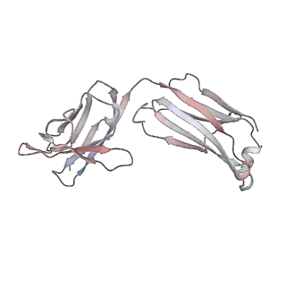 32564_7wka_d_v1-0
SARS-CoV-2 Omicron closed state spike protein in complex with S3H3 Fab