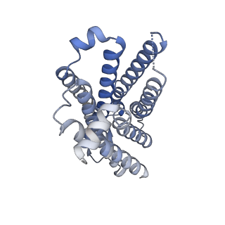 32565_7wkd_R_v1-1
TRH-TRHR G protein complex