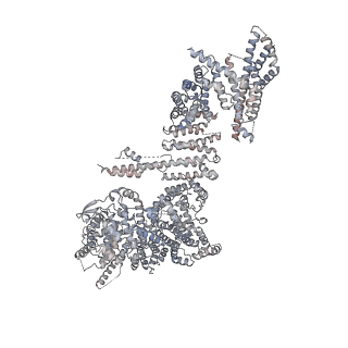 32566_7wkk_A_v1-1
Cryo-EM structure of the IR subunit from X. laevis NPC