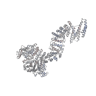 32566_7wkk_B_v1-1
Cryo-EM structure of the IR subunit from X. laevis NPC