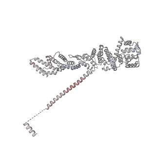 32566_7wkk_C_v1-1
Cryo-EM structure of the IR subunit from X. laevis NPC