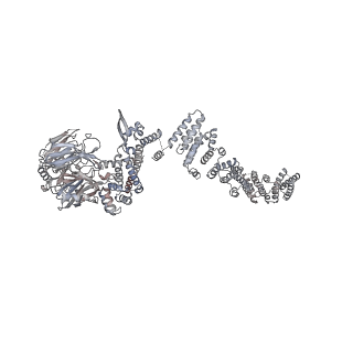 32566_7wkk_D_v1-1
Cryo-EM structure of the IR subunit from X. laevis NPC