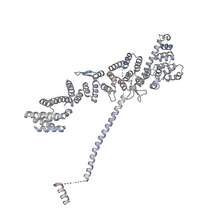 32566_7wkk_E_v1-1
Cryo-EM structure of the IR subunit from X. laevis NPC