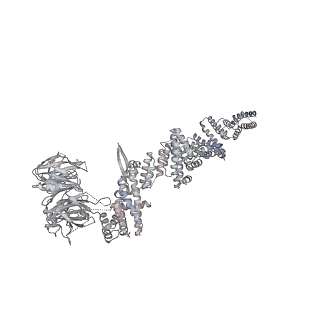 32566_7wkk_F_v1-1
Cryo-EM structure of the IR subunit from X. laevis NPC