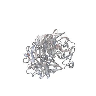 32566_7wkk_M_v1-1
Cryo-EM structure of the IR subunit from X. laevis NPC