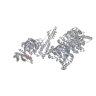 32566_7wkk_a_v1-1
Cryo-EM structure of the IR subunit from X. laevis NPC