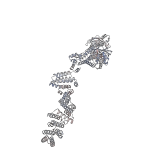 32566_7wkk_d_v1-1
Cryo-EM structure of the IR subunit from X. laevis NPC