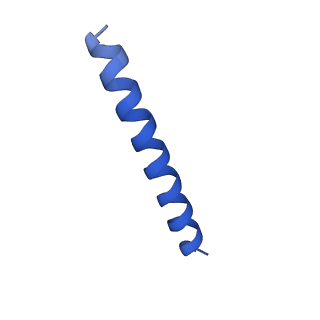 21816_6wl7_0A_v1-2
Cryo-EM of Form 2 like peptide filament, 29-20-2