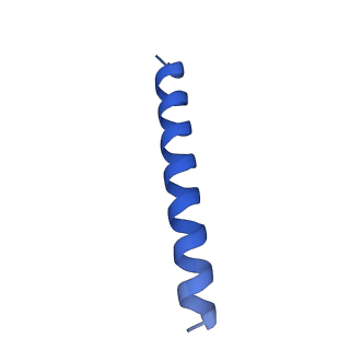 21816_6wl7_0_v1-1
Cryo-EM of Form 2 like peptide filament, 29-20-2