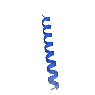 21816_6wl7_0_v1-2
Cryo-EM of Form 2 like peptide filament, 29-20-2