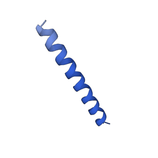 21816_6wl7_3A_v1-2
Cryo-EM of Form 2 like peptide filament, 29-20-2