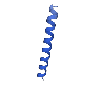 21816_6wl7_3_v1-1
Cryo-EM of Form 2 like peptide filament, 29-20-2
