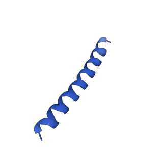 21816_6wl7_4A_v1-1
Cryo-EM of Form 2 like peptide filament, 29-20-2