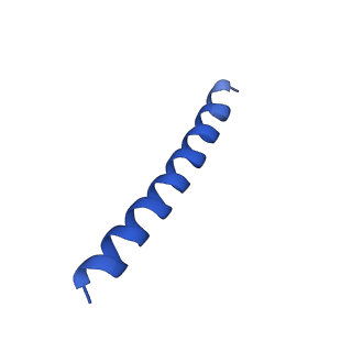 21816_6wl7_4A_v1-2
Cryo-EM of Form 2 like peptide filament, 29-20-2