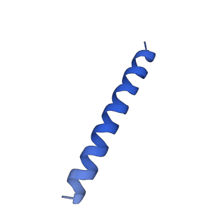 21816_6wl7_5A_v1-1
Cryo-EM of Form 2 like peptide filament, 29-20-2