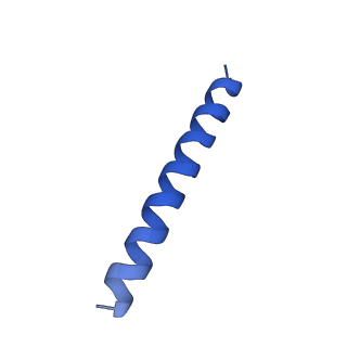 21816_6wl7_5A_v1-2
Cryo-EM of Form 2 like peptide filament, 29-20-2