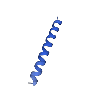21816_6wl7_6A_v1-1
Cryo-EM of Form 2 like peptide filament, 29-20-2